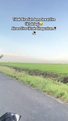 Ulah siapa ini, banyak loh orang yang nyari rezeki dari akses live ini🥀🥹 #fyp #live #livetiktokdihapus #sedih 