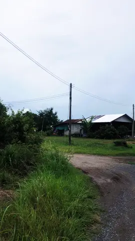 บ้านนอกเฮา 🌴☘️🍀#เกษตรสมบูรณ์  #ภูคี #ชัยภูมิ 
