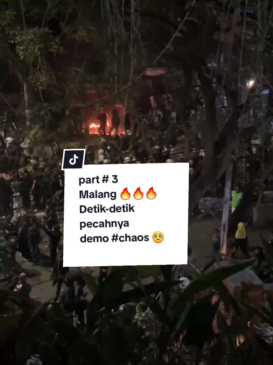 Malang membara 🔥🔥🔥 Damailah Indonesiaku 🇮🇩 Part.3 #demomalang #ojol #malang24jam #indonesiaberduka #viralvideo 