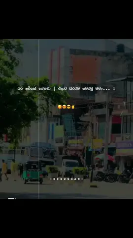 #සමරමු❤️🙏 #nirosha_enterprises_passenger_service #බස්_පිස්සුව😊 @Gangana_samaraweera #බස්_පිස්සුව😊 #fypシ゚viral #tiktok #CapCut #රට_වටේ_යන_ගමනේ_❤️තවත්_දවසක් 