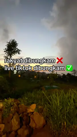ada yg sama ga guys fitur live tiktoknya hilang?!! #livetiktok #hilang #dibungkam #pemerintah #prabowo 