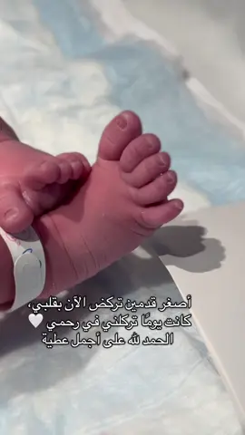القلب 