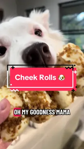 #cheekrolls #dogsoftiktok #dogtreats #dogchews #tiktokshop 