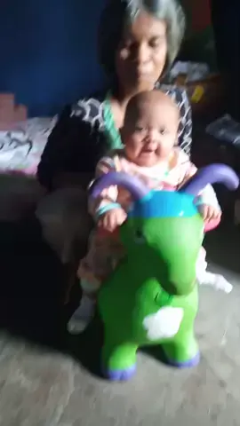 ya aloh... lalai sdikit sdah dinaikkan sapi😭😭😭  b. imah lagi muslimatan d kirimi video sprti ini lngsung pulang ke rumah lili. marahi bapake + inces bocah rung nalar kabeh #incessecang  #babylili  #fyppppppppppppppppppppppp  #fypシ゚viral 