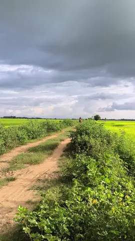 မောင်းရဲရင်ချိတ်ကွာ မမောင်းရဲဘဲနဲ့ လိုင်းပေါ်မာ အာမချောင်နဲ့မင်းတို့ကိုမကြောက်လို့ပြတာ 