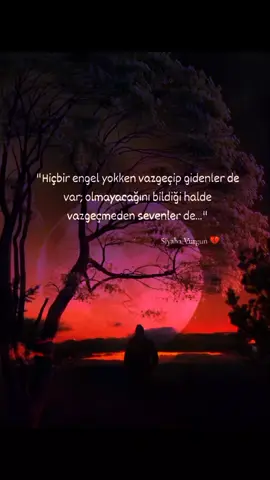 #___ #💔 