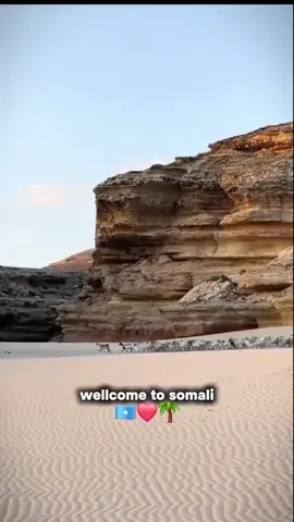 #somalilandtiktok💚🤍❤ #somalicanada_life🇨🇦 #somaliminneapolis #muqdishotiktok #putlander🇸🇱💙😘 