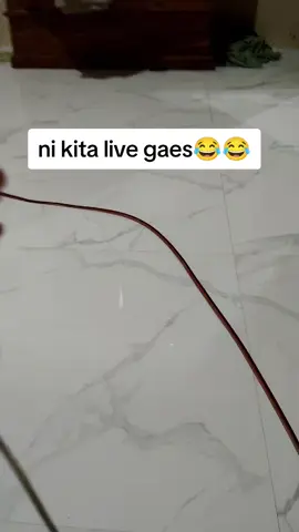 ni bisa