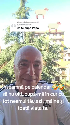 Risposta a @dumitra.vasile91 #creatorsearchinsights #foryoupage #foryou #unromânglobalist #Româniaṭarãdedor💙💛❤️ 