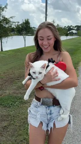 I’m calling the police #cat #kitty #funny #comedy #pets 