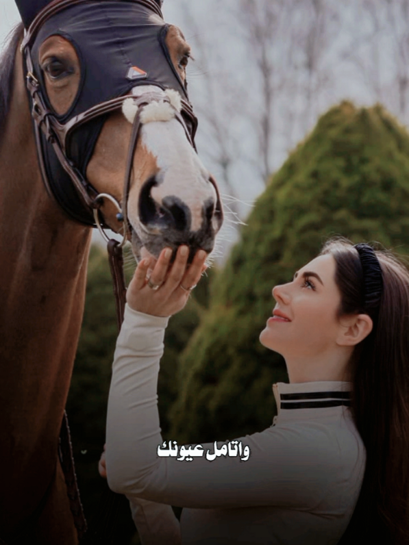#خيل #تصميم_فيديوهات🎶🎤🎬 #خيل_وخياله🐎 #تصميم #فروسية 