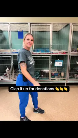 Clap for rescue life! 👏👏👏 #gocrazy #rescuelife #rescuedog #adoptdontshop #fyp 