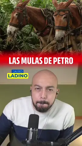 La #unp de #petro compró más de 2.700 millones en #mulas #rezadas y #bastones para los indígenas en Colombia  En esto se van nuestros impuestos.