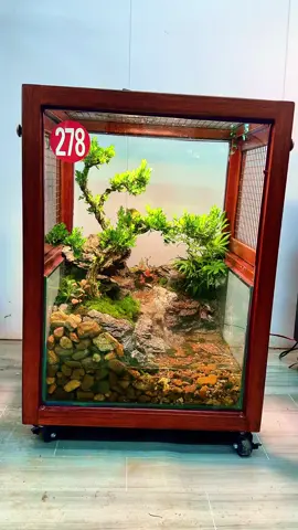 Một mẫu aviary mini #paludarium #bird #aviary 