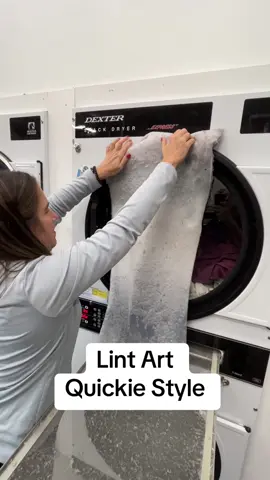 Art is in the eye of the beholder. #laundromat #satisfyingvideo #oddlysatisfyingasmr #laundry  #CapCut 