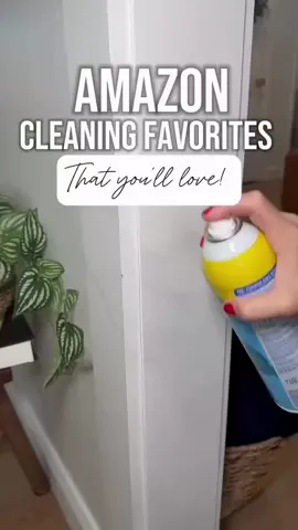 My cleaning favorites! Like & comment WOAH for links to your DMs!