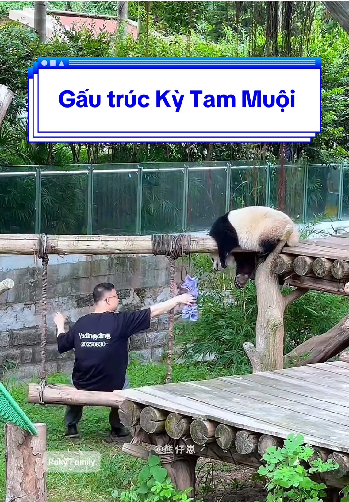 Ngày 20/8, Kỳ Tam Muội lại có biệt danh mới là 
