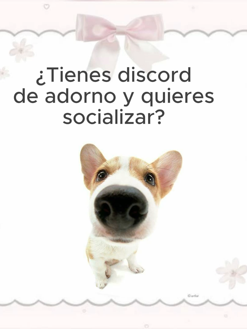 𐔌՞꜆.̫.꜀՞𐦯 .  .#discord #server #servidordediscord #amigos