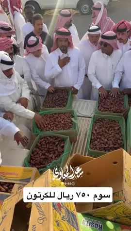 #صفري_بيشه #بيشة_اكسبلور #السعودية🇸🇦 #سعد_المعاوي 