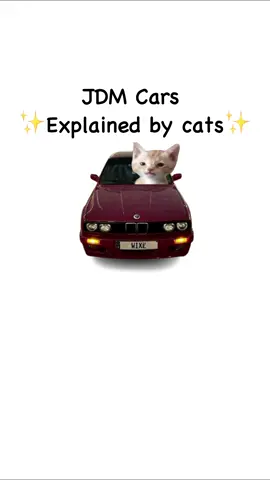JDM Cars explained by cats #jdm #cats #car #carguys 