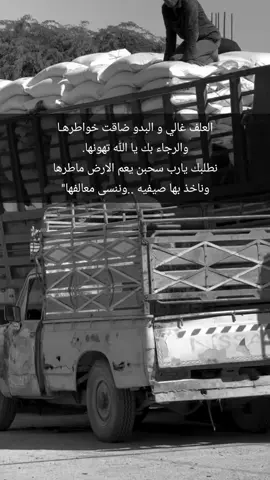 العلف غالي و البدو ضاقت خواطرها والرجاء بك يا الله تهونها. نطلبك يارب سحبن يعم الارض ماطرها وناخذ بها صيفيه ..وننسى معالفها