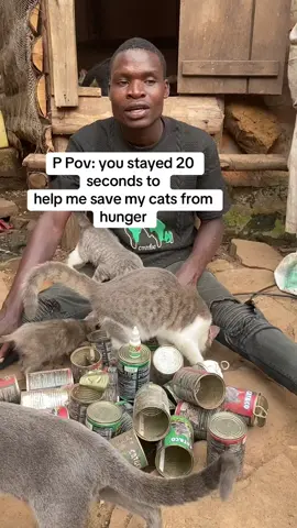 Pov: you stayed 20 seconds to help me save my cats from hunger