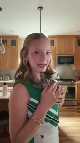 #ootdinspo #kitten 