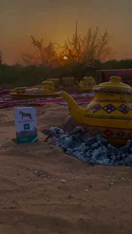 خود القلم ودكن حبره #كاتولي #ليبيا_طرابلس_مصر_تونس_المغرب_الخليج #foryou #fyp #explore 