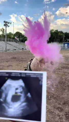 🥹🥹🥹🥹🥹🥹💖💖💖💖💖 i can’t wait to be a girl mommy  #genderreveal #genderrevealparty #genderrevealideas #rodeo #bullriding 