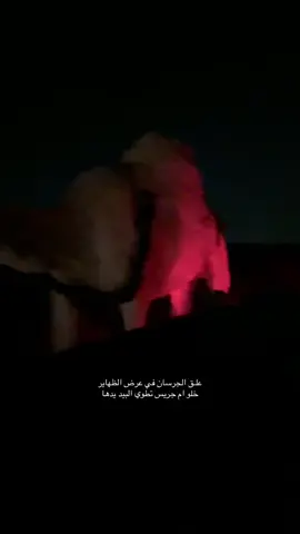 #الابل 