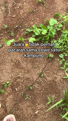 #katakata 