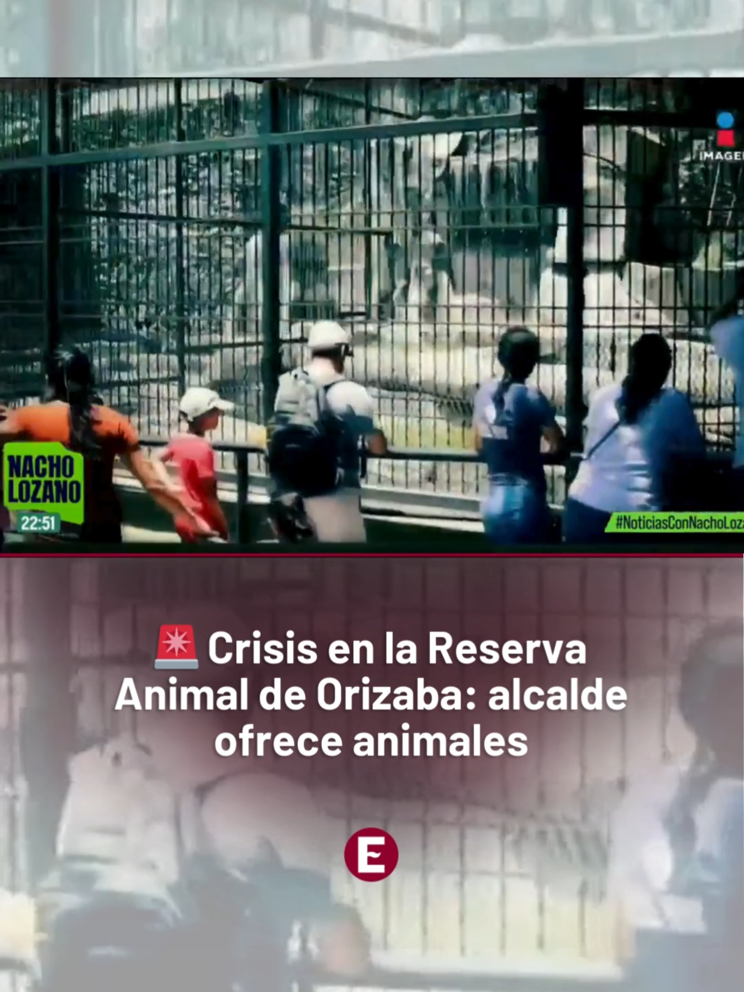 El alcalde de Orizaba, Juan Manuel Diez, ofreció entregar los animales tras la mu3rte de tres ejemplares y las malas condiciones de casi 900 más en la Reserva Animal del Paseo del Río. #ExcélsiorDigital #Orizaba #ReservaAnimal #ProtecciónAnimal