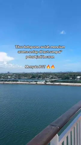 nanti demo,pasukan kami paus,hiu,lumba