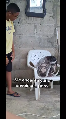 Solo amor! #foryoupage #fly #parati #manchas0714 #paratiiiiiiiiiiiiiiiiiiiiiiiiiiiiiii 