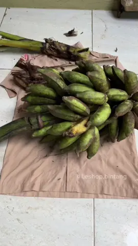 Membalas @FIZAMARI_PAGEANT✨☘️  Menghilangkan noda getah pisang di baju pramuka emang bisa?  #penghilangnodapakaian #penghilangjamurpakaian #clothstainremover 