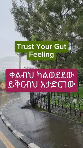 ቀልብህ ካልወደደው ይቅርብህ አታድርገው Trust your gut feeling