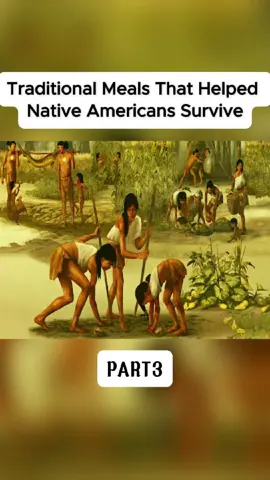 Traditional Meals That Helped Native Americans Survive - Part 3
 #NativeAmericans #SurvivalFoods #AncientMeals #LearnOnTikTok #fyp