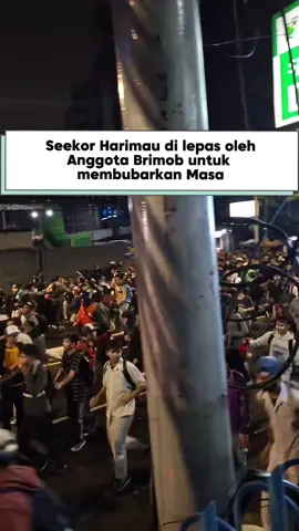 kasian banget #dprri  #bubarkandpr  #demoindonesiagelap  #jakarta 