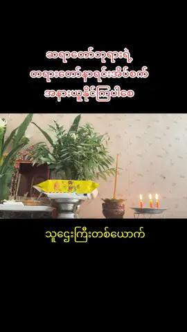 #တရားတော်များနာယူနိုင်ပါစေ🙏 #ပါချုပ်ဆရာတော်ဘုရာကြီး🙏🙏🙏 #တရားတော်များ 