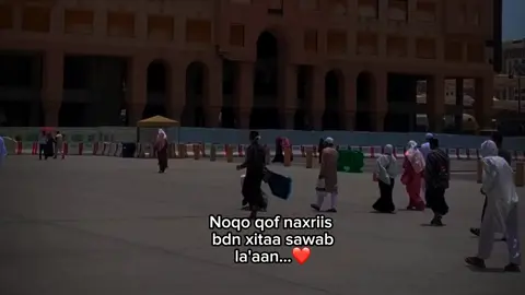 Love sarr 🤍  #owl #hanatt_said 