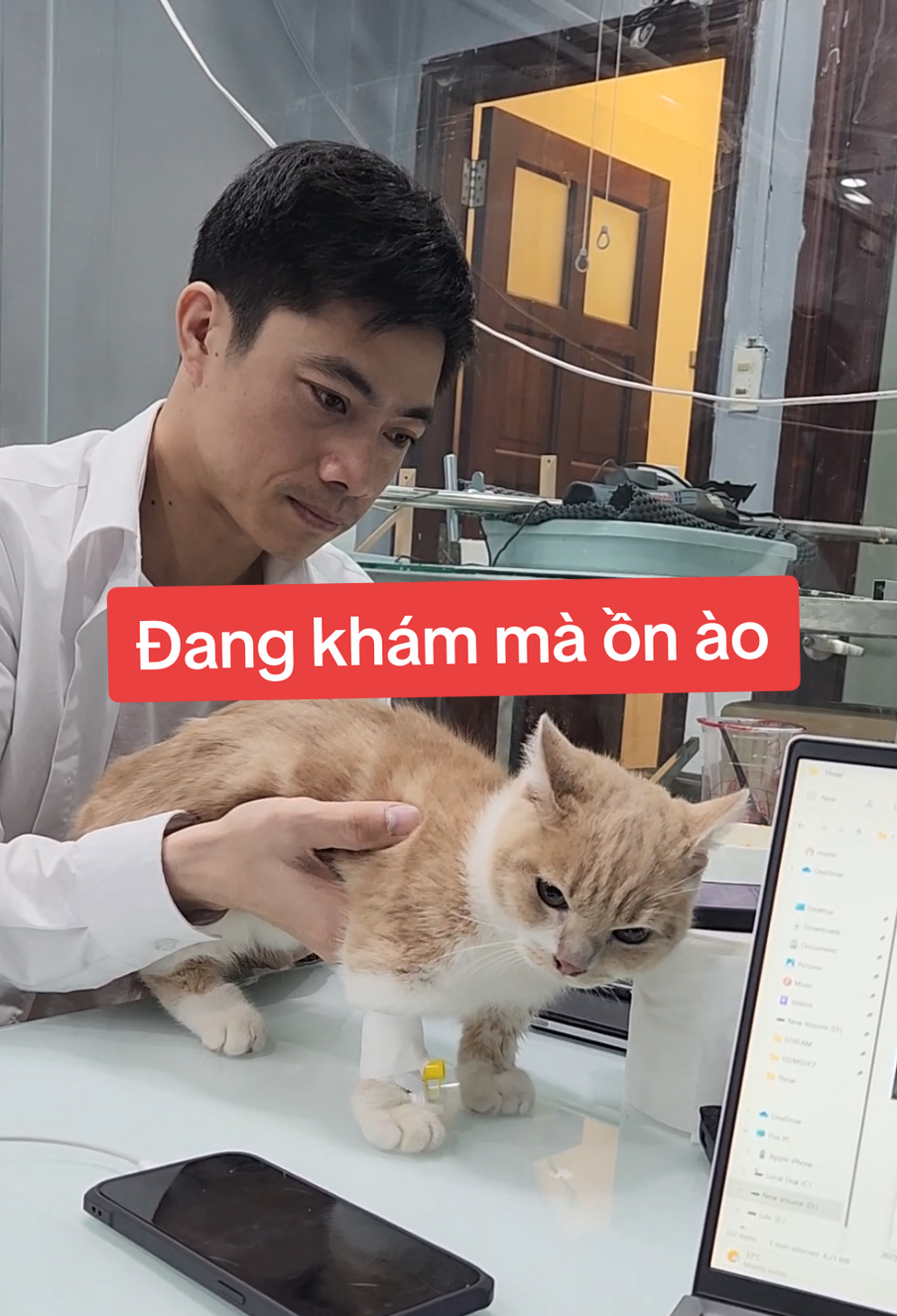 Chủ chỉ cho cách trị pet nhà anh ấy, khắc chế cứng luôn 😂 #fyp #fun #pet 