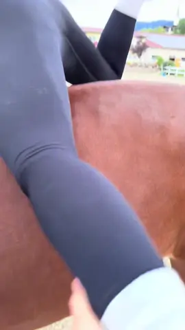 @Johanna 🐴⛰️#therapy #fy #equestrian #horsesoftiktok #fun 