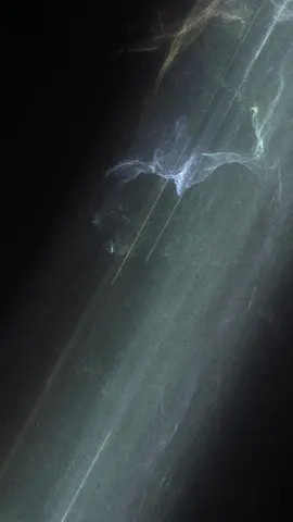 An Endless Ocean #foryou #fyp #touchdesigner #newmusic #audiovisual 