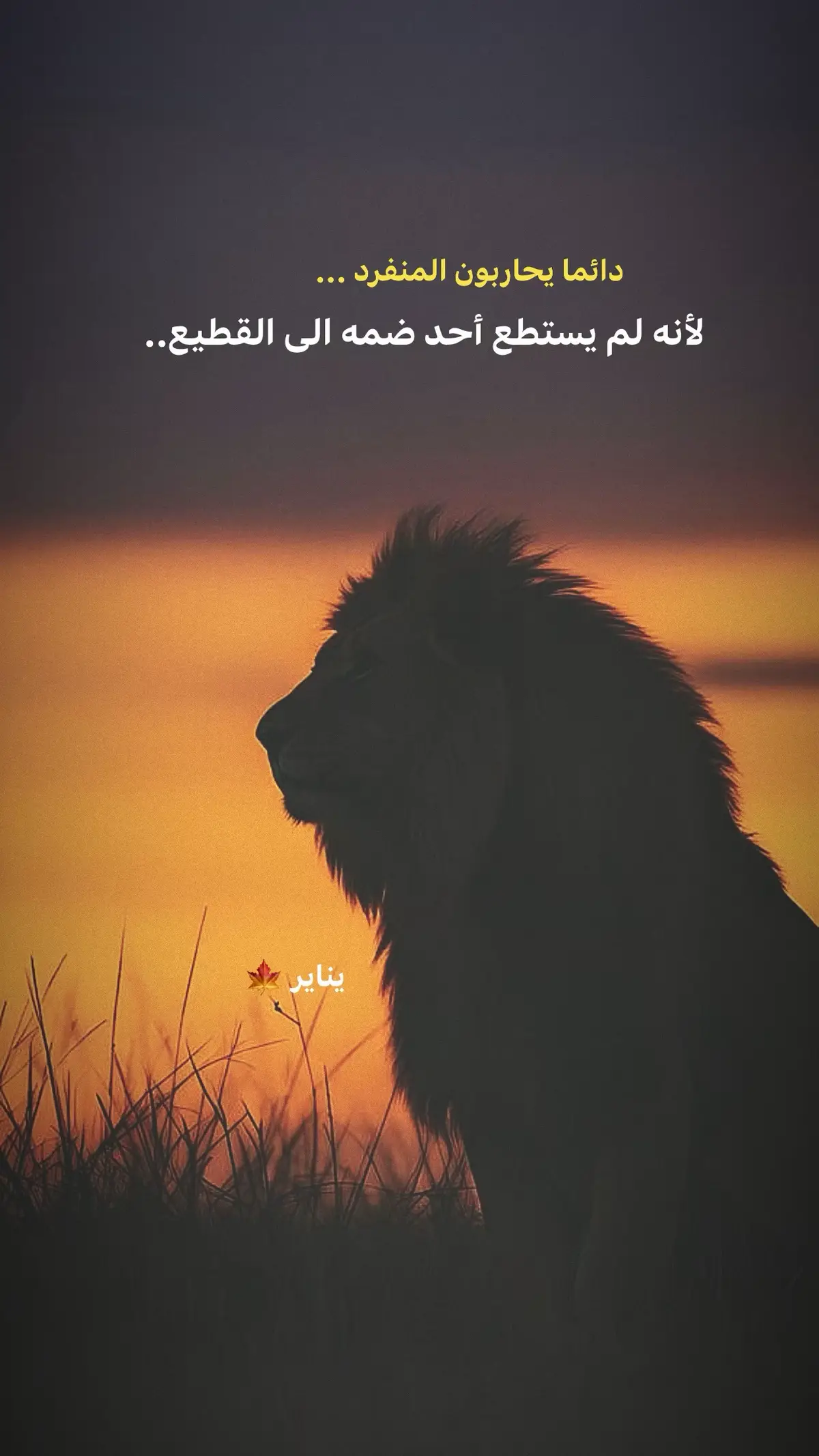 #تصميمي🎬 #cute #خواطر #عبارات_جميلة_وقويه😉🖤 #اقتباسات📝 #عباراتكم_الفخمه📿📌 #متابعون #اكسبلور 
