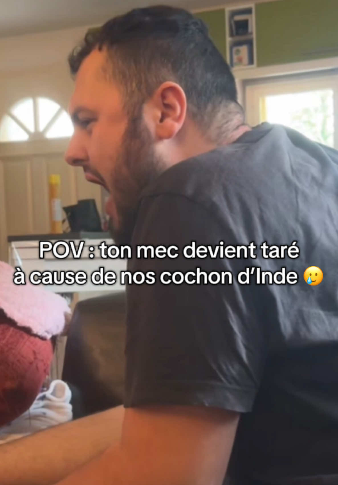 Pas possible 🤣🤣🤣 #guineapigsoftiktok #fyp #viral #tiktokfrance #prt 