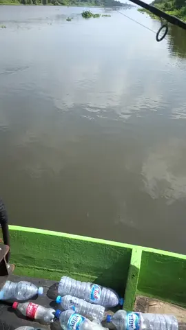 tetap tenang dan kuasai keadaan .  seng panik malah seng ngrekam 😁