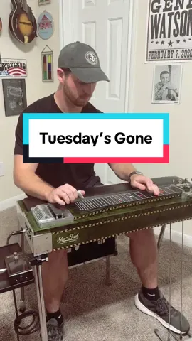 Lynyrd Skynyrd “Tuesday’s Gone” #steelguitar #countrymusic #rock #southernrock
