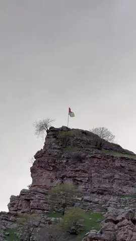 💚🌞❤️#kurdistan #kurdm #freedom 
