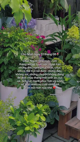 “May mắn bình an🥰🌷” #suyymottchut #viral #fyp 