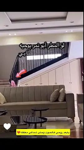 #حصه #ام_ابوحصه #ام_طلال #ابونمر #ابوحصه🐰 
